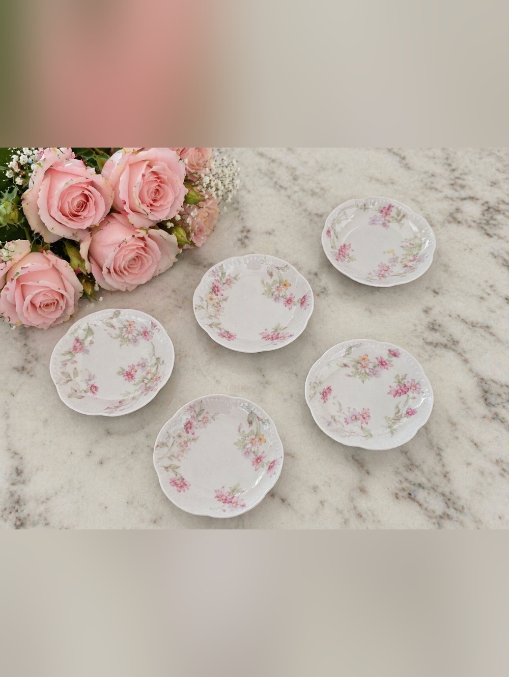 Rare Haviland Limoges Butter Chip Plates Set of 5 White Porcelain 3 Inch